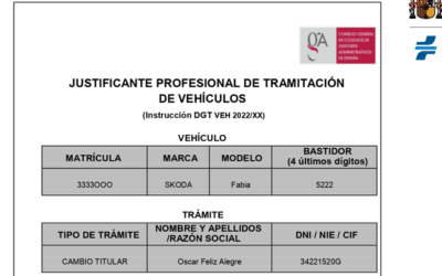 Justificante profesional